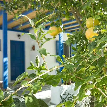 George's Paros 3* Alikí