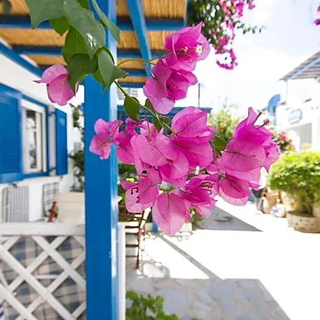 George's Paros Aparthotel Alikí