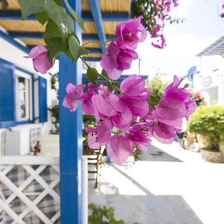 George's Paros Lägenhetshotell