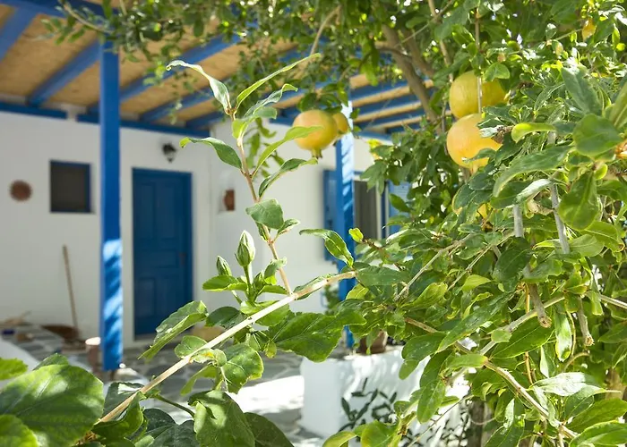 George's Paros 3* Alikí
